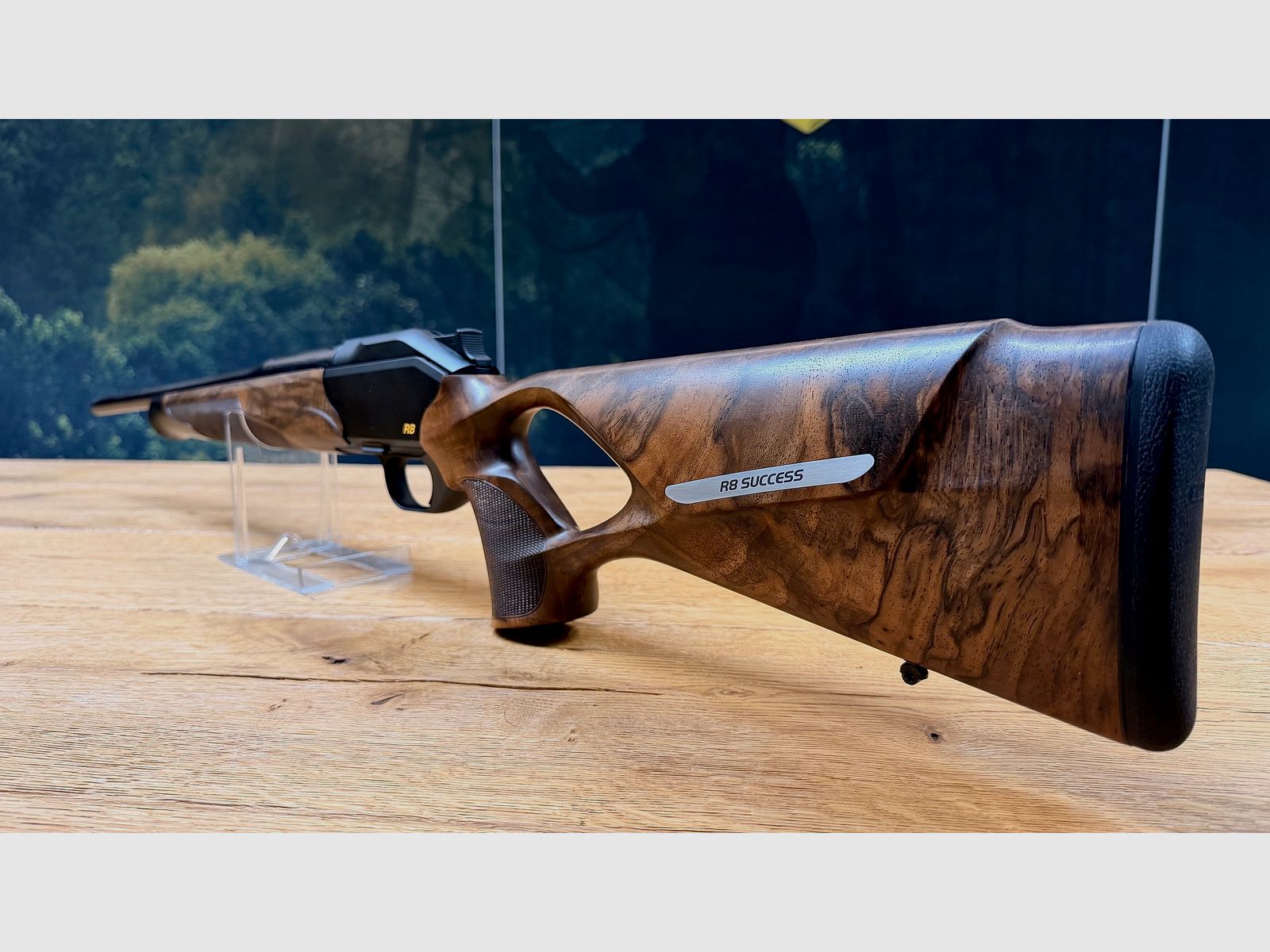 Blaser R8 Success / madera clase 4 / calibre y longitud de cañón a elección / oportunidad absoluta