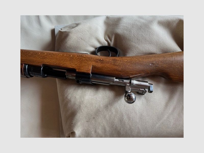 Schweden Mauser 6,5x55
