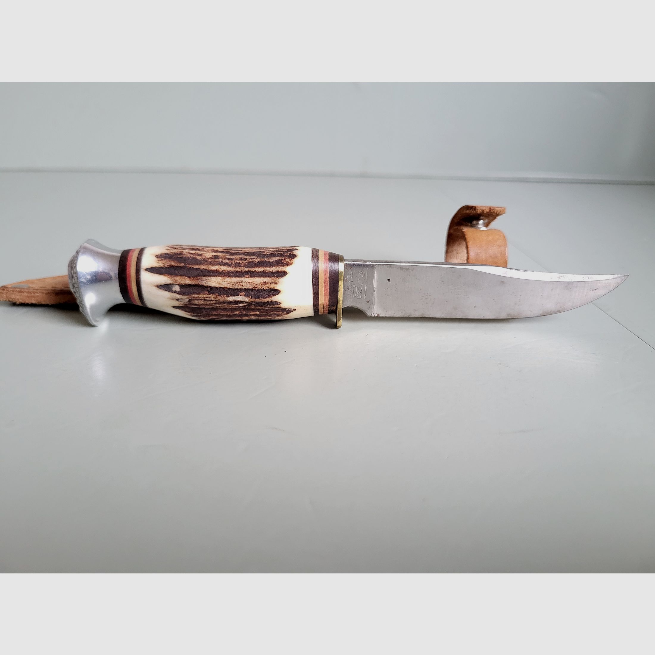 Coltelli da caccia vintage - Solingen - Corno di cervo - Pomolo a forma di uccello - Germania occidentale