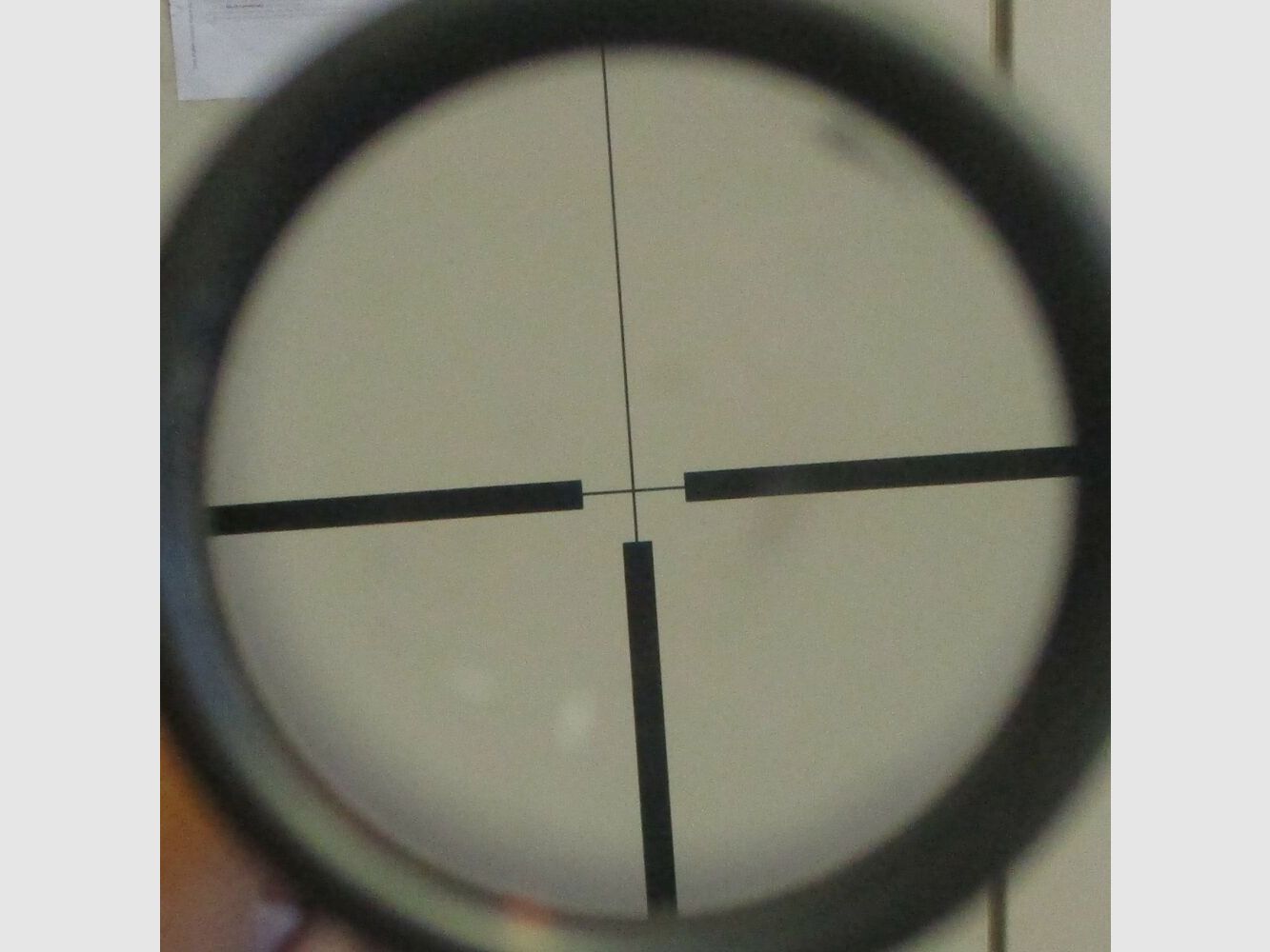 Zeiss Diatal-Z