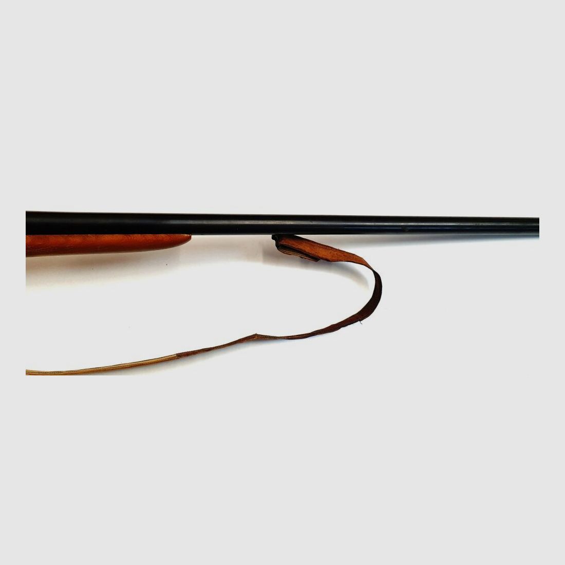 Carrero & Astelarra VANGUARD