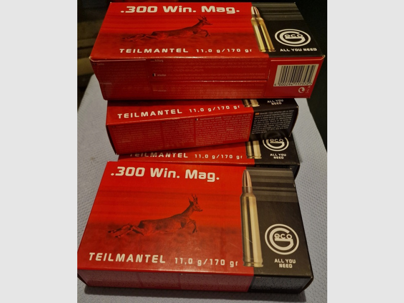 Geco Teilmantel .300 WinMag 11g/170grs 80Stk.