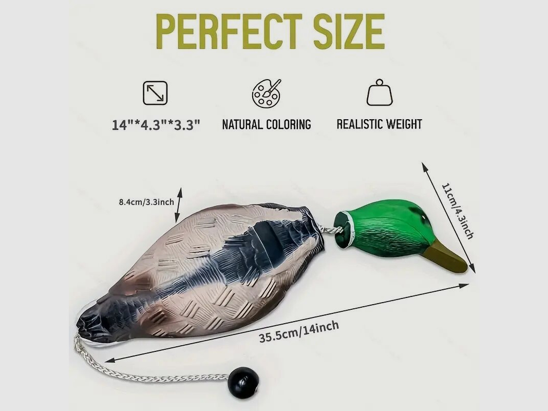 hs-arms dog retrieving dummy stock duck