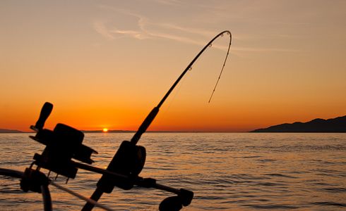 The Basics of Fishing: A Guide for Beginners