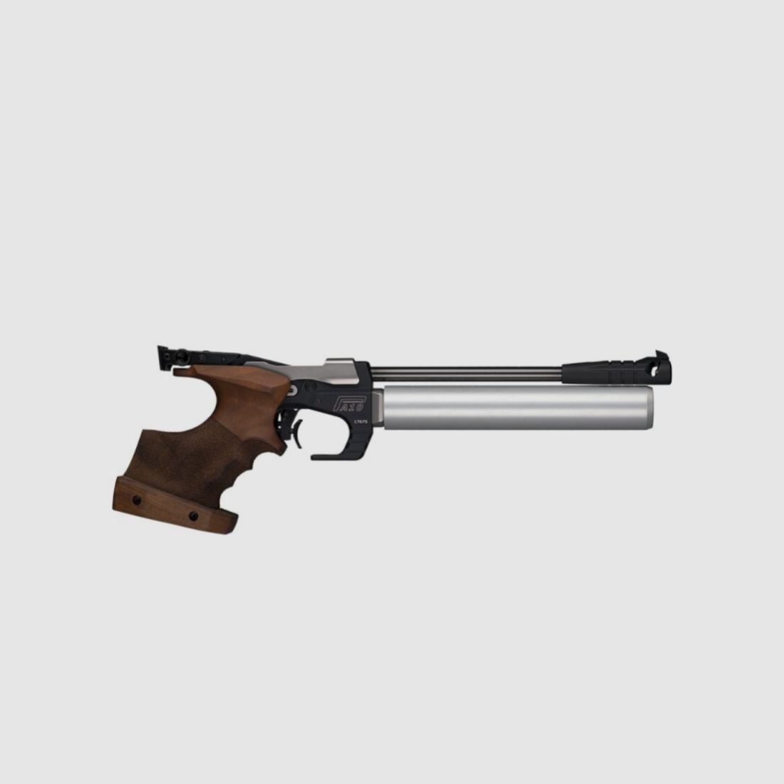 Tesro PA 10 Buinger Edition