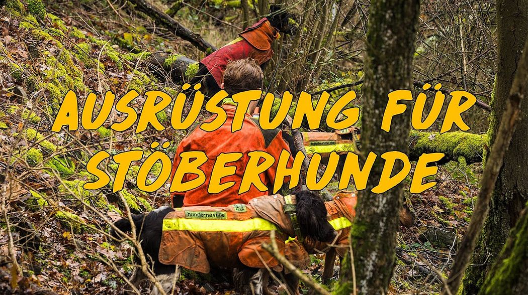 Ausrüstung für Stöberhunde