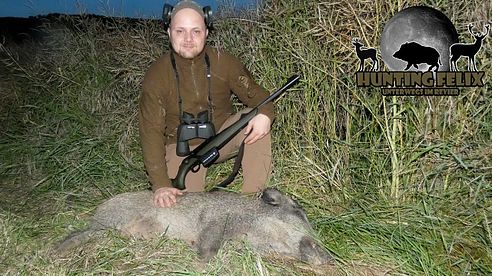 Wildschwein Jagd am Raps - meine erste bleifreie Sau