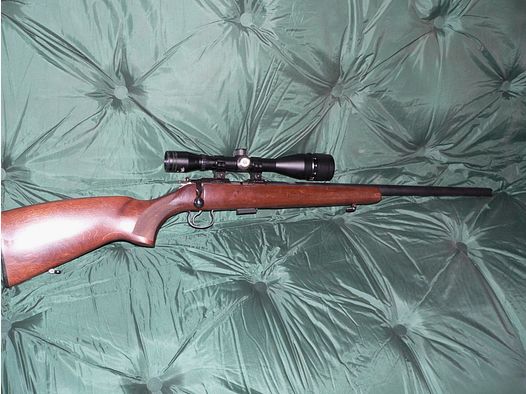 Semtecx/Brunn Semtecx/ZKM455