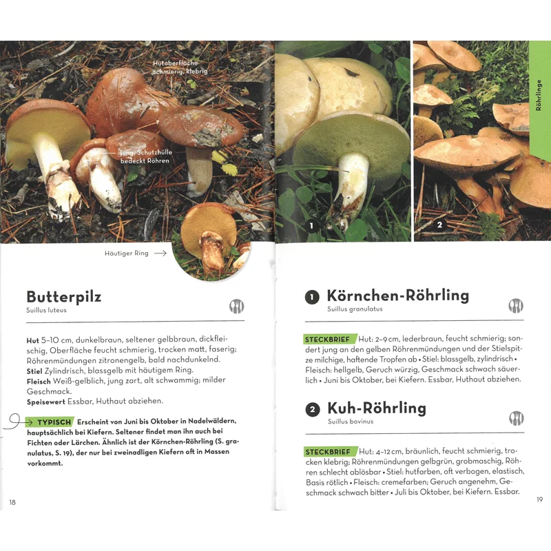 Libro "Funghi di Base", immagine 2 di 3