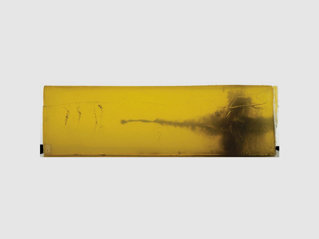 CAJA DE 20 PATRONES FEDERAL 308WIN 180 GR NOSLER PARTITION PVITAL-SHO, imagen 3 de 4