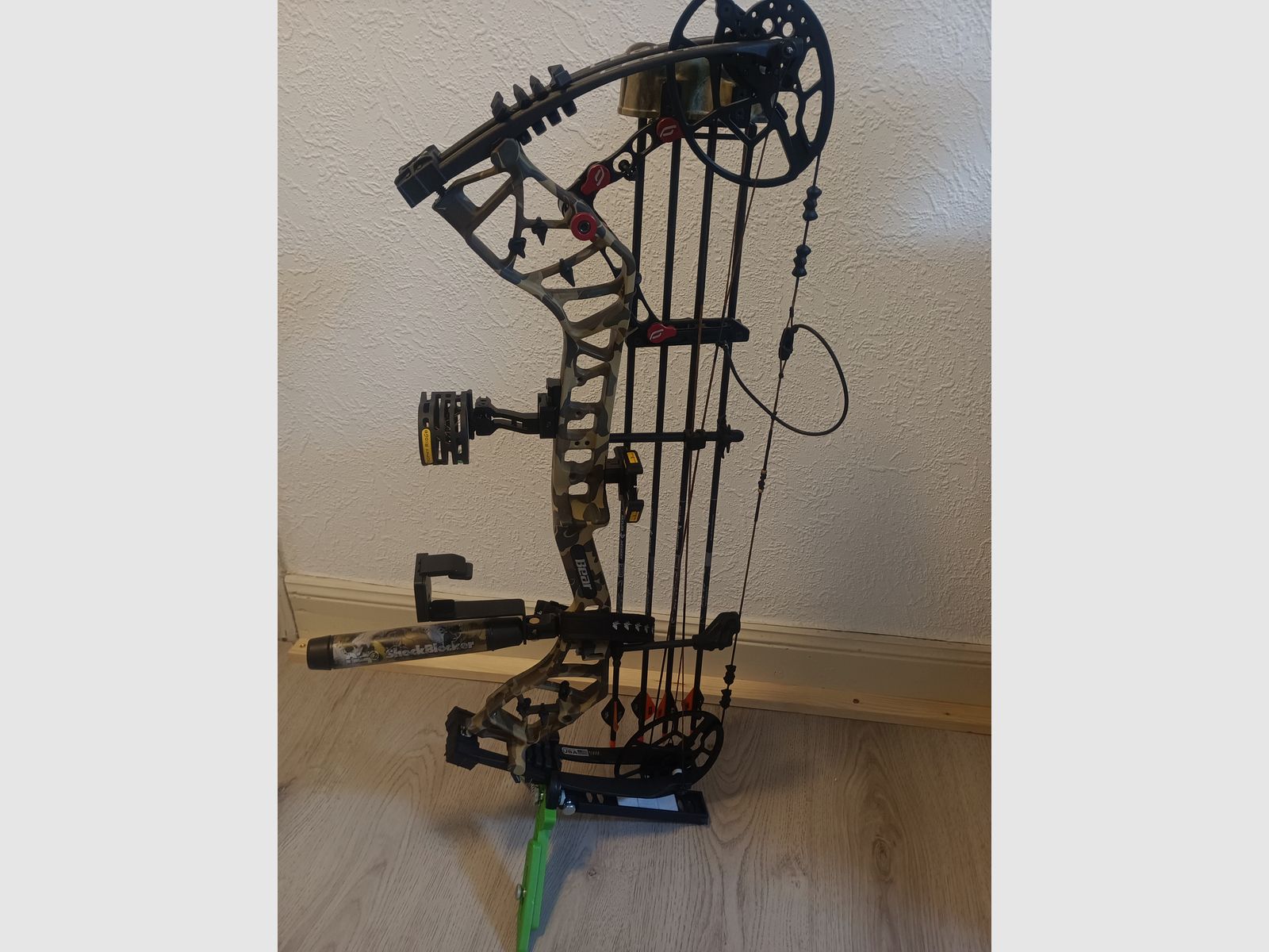 Compoundbogen Bear Legit maxx rth