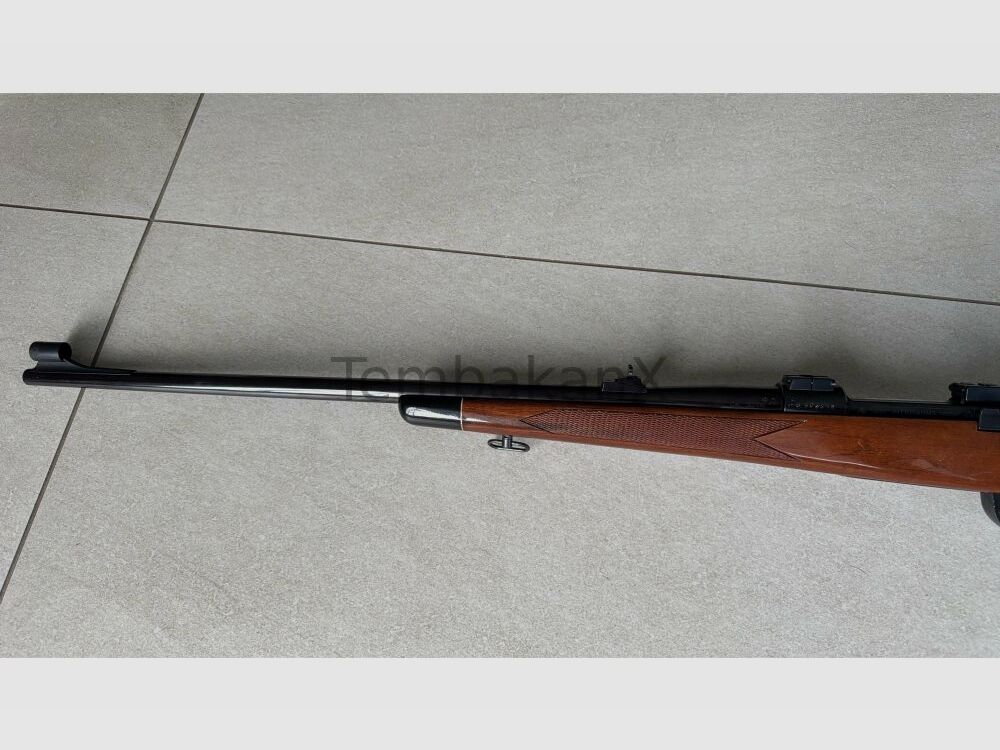 Interarms Marx X .30-06Spring