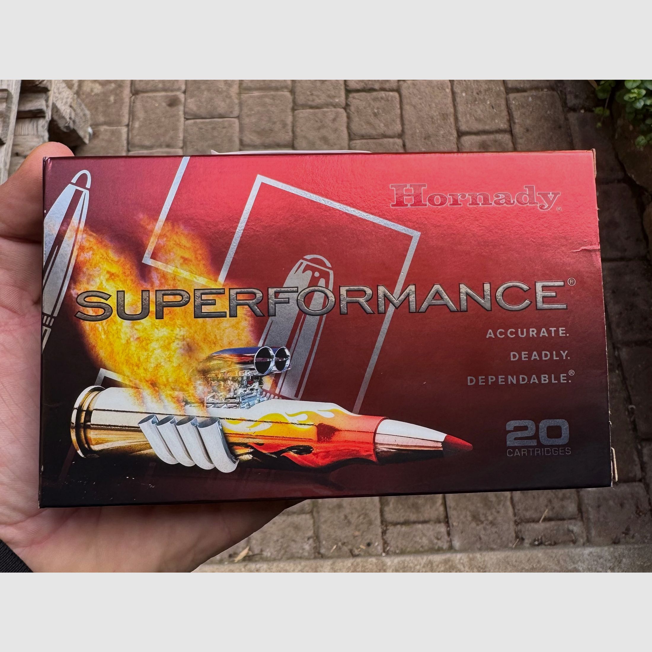 Hornady 300 Win Mag CX