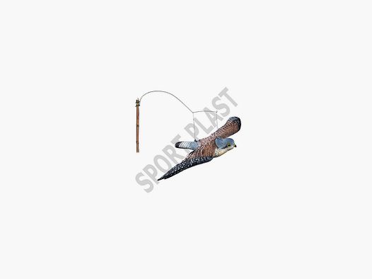 SPORT PLAST FALCO IN VOLO