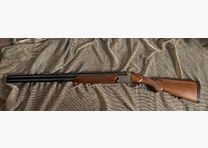Sauer Franchi Regent BDF 12/70