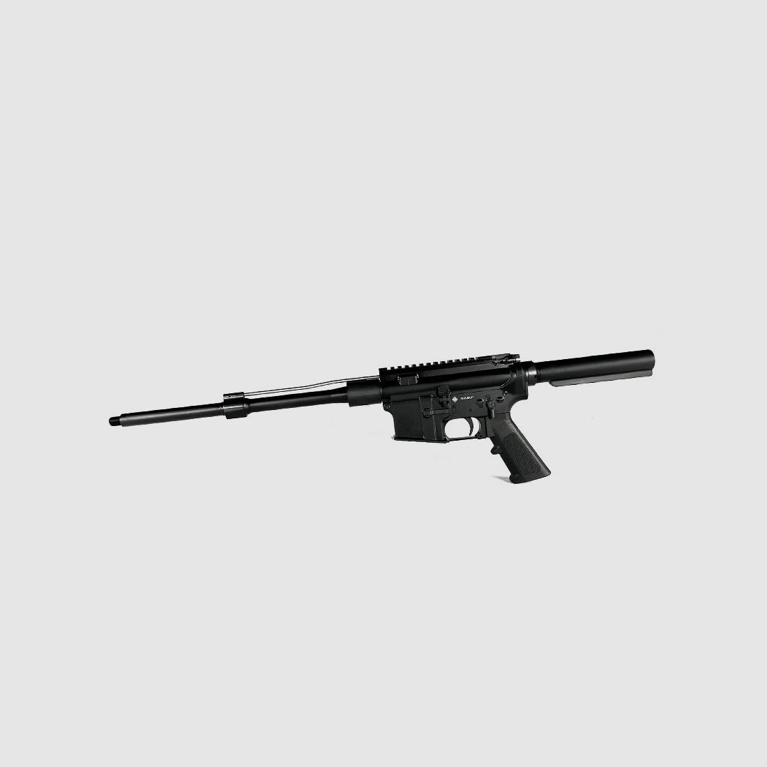 GERMAN TACTICAL SYSTEMS Naked AR15 mit 10,5 Zoll Lauf