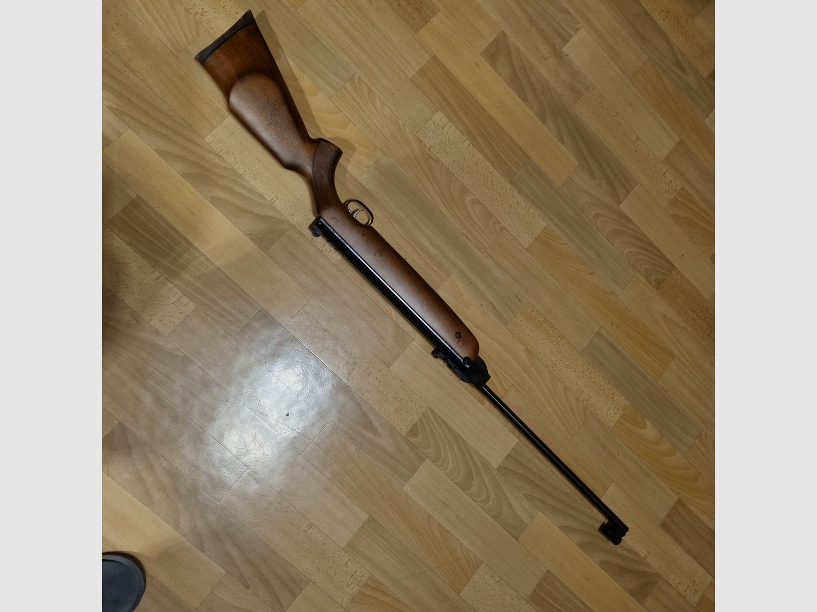 ⁵Weihrauch HW 80 mit ZF Gamo 4x20