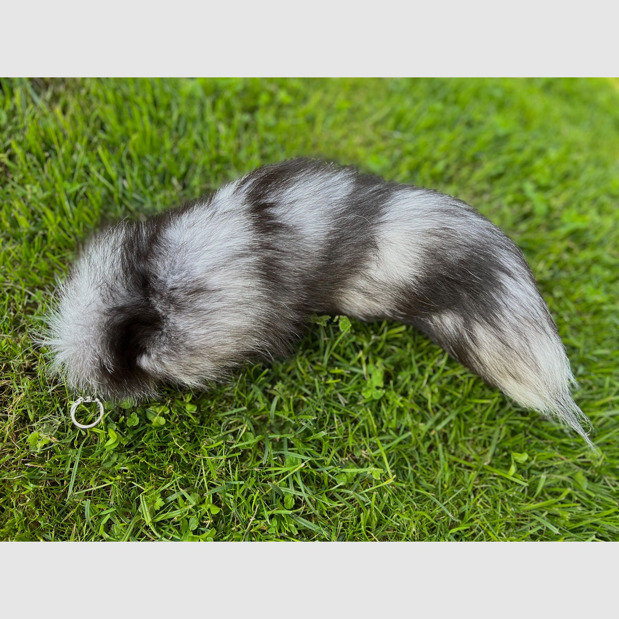 Actual blue fox tail with keychain