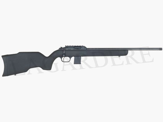 WEBLEY STANDARD RIFLE (CARABINA A REPETIZIONE PERCUSSIONE ANULARE)