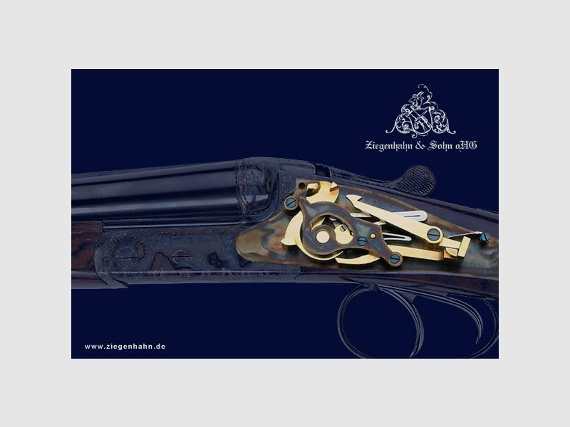 Ziegenhahn & Sohn, escopeta de lado