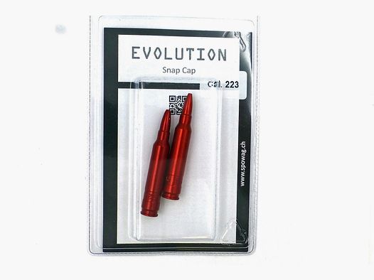 EVOLUTION Patronen für die Handhabung, 223Rem