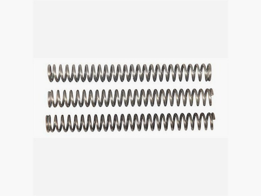 Hammerfedernset Tuning Ruger SAR