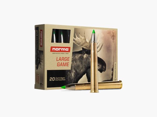 AMUNICJA KULOWA NORMA .300 WIN MAG ECOSTRIKE 9,7G