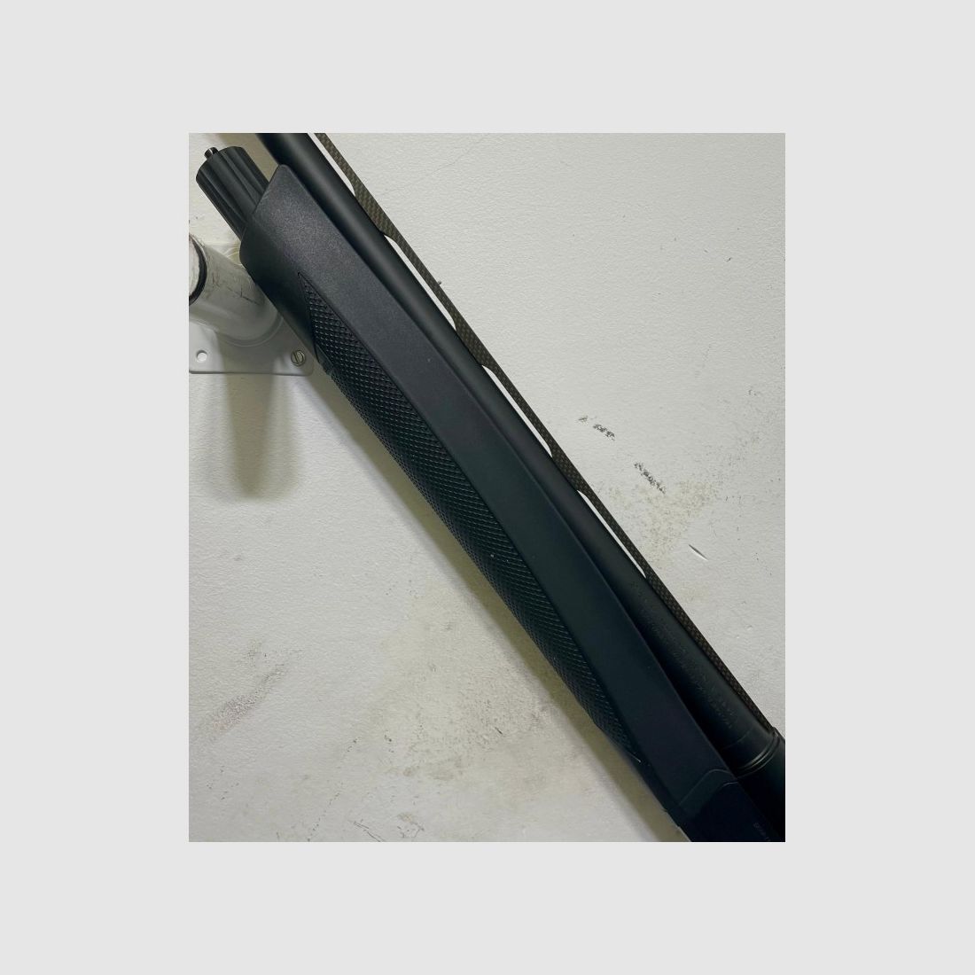 BENELLI ETHOS CORDOBA, immagine 8 di 10