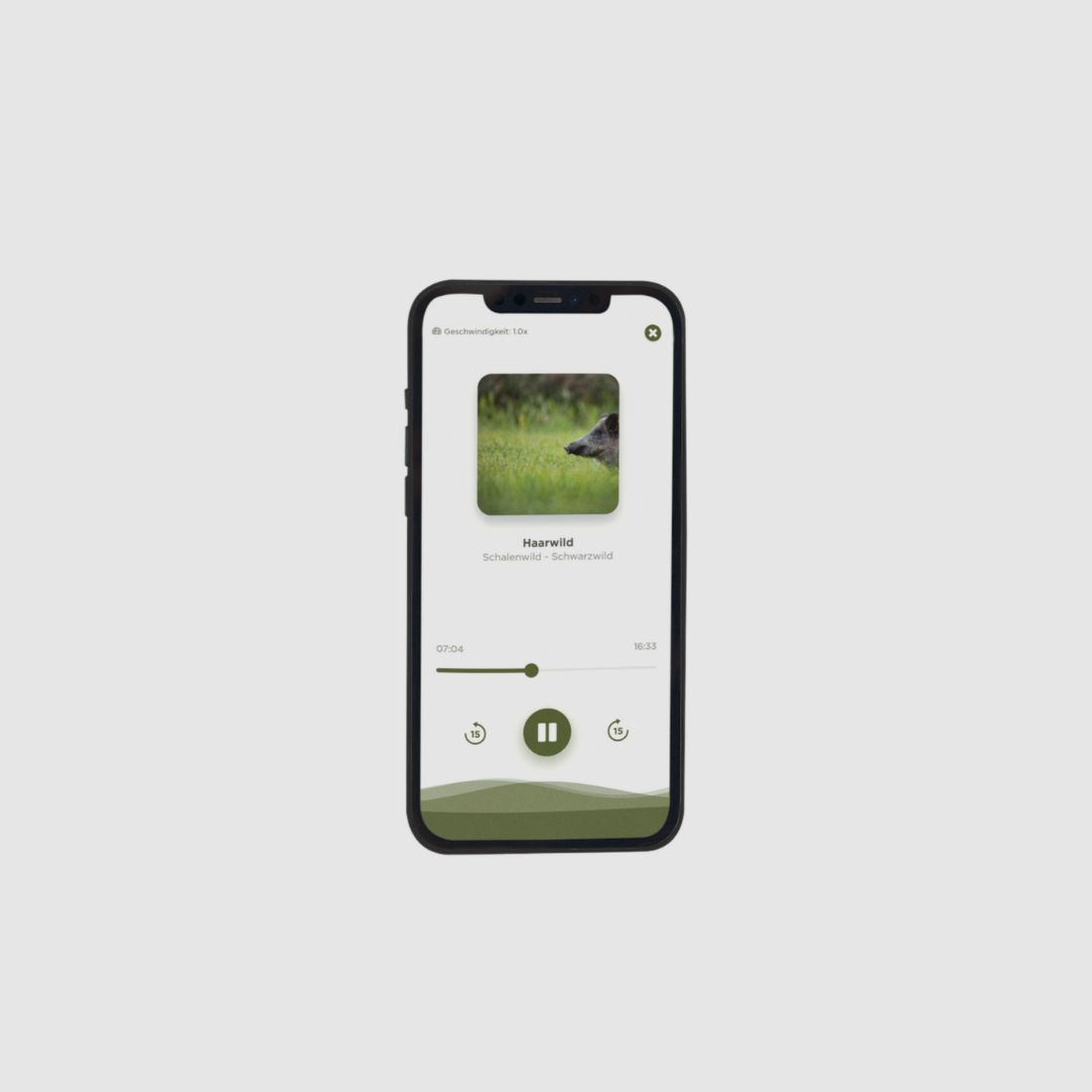 Audio Trainer Hunter's Forge