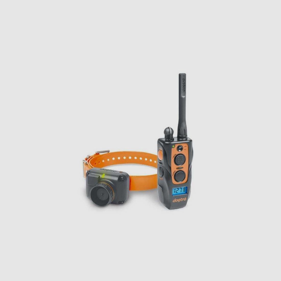 Collier éducatif et beeper Dogtra 2600 T&B