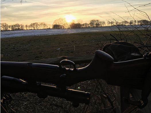 Sauer & Sohn 202 Stutzen 9,3x62 Sonderholz Schrankwaffe