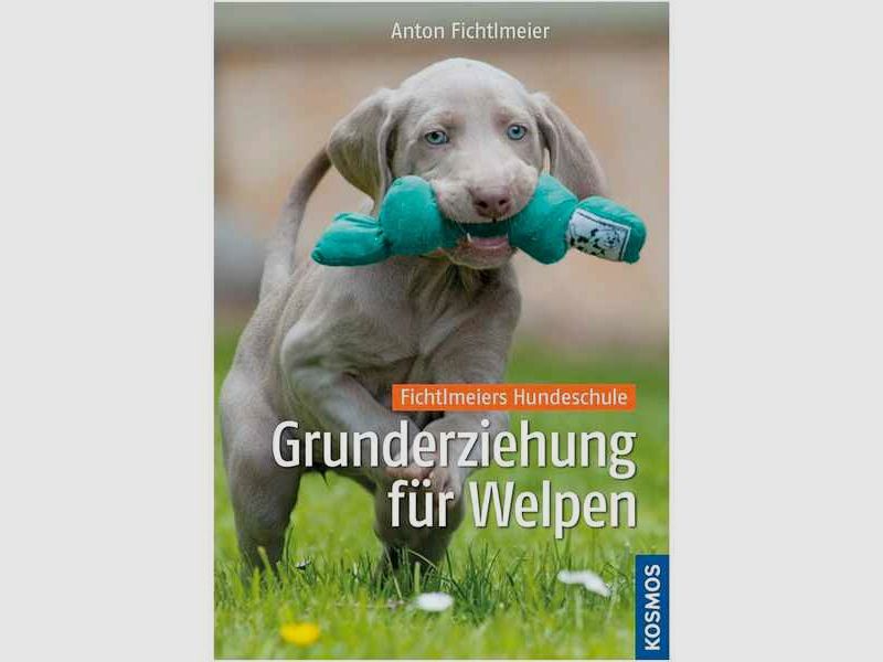 Buch Grunderziehung für Welpen