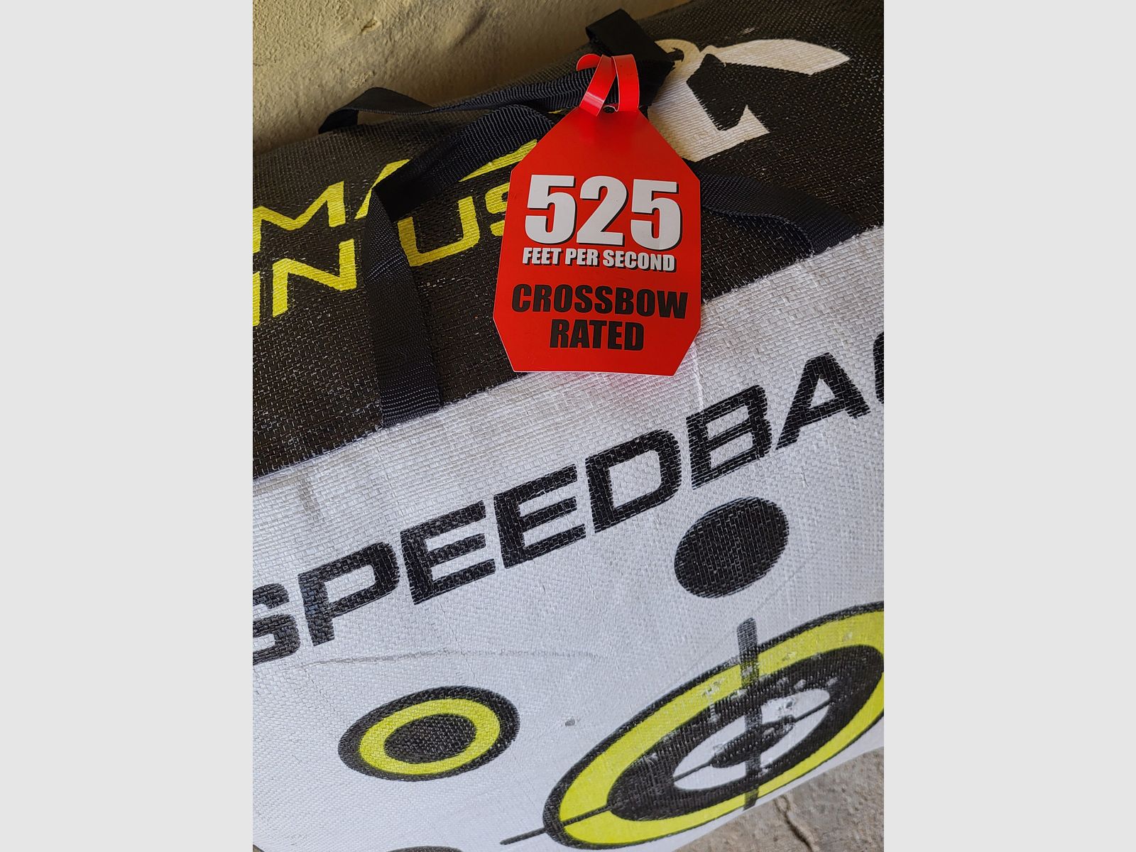 Steambow AR-6 Stinger