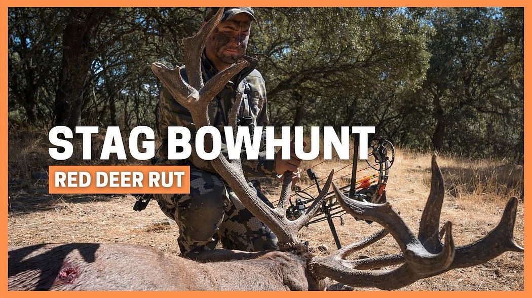 THE ROAR - BOWHUNTING STAGS DURING THE RUT / CAZA CON ARCO VENADOS EN BERREA