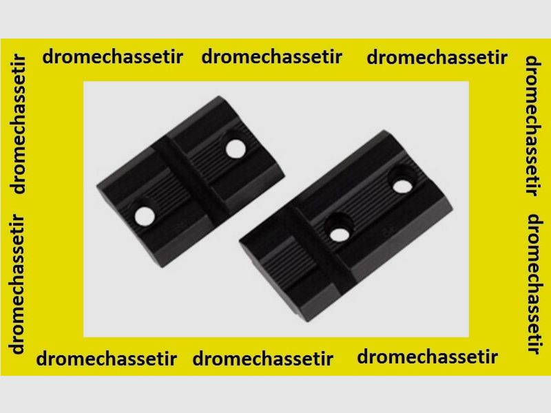 Base de montaje Weaver (21mm de ancho) para Zoli 1900, imagen 1 de 2