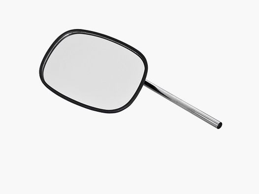 Curved Mirror Head