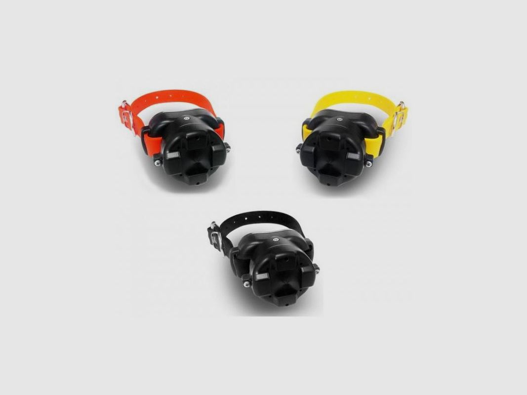 Collier supplémentaire pour Dogtra BB