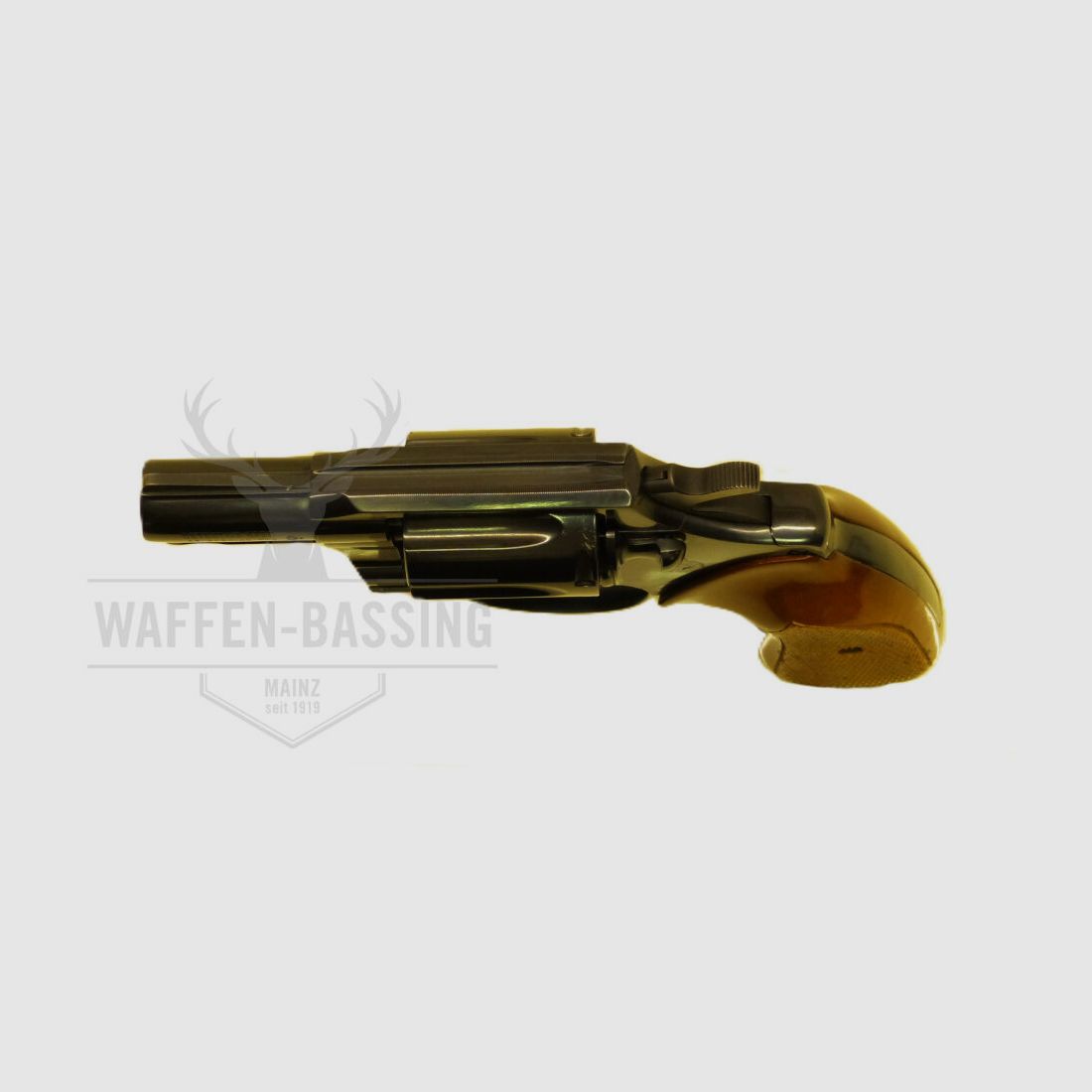 Colt Detective Special