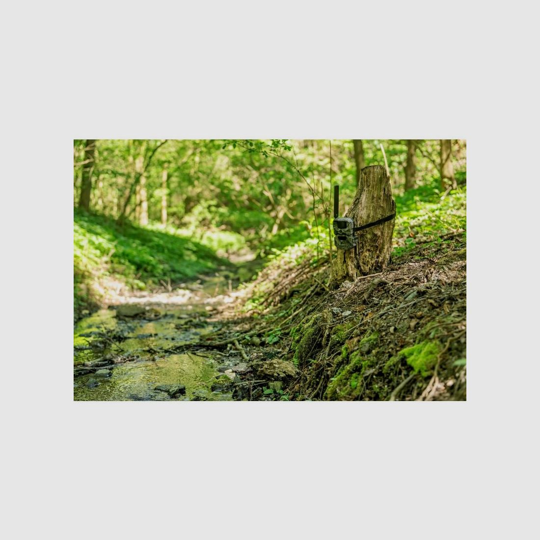HIKMICRO T16 4G Wildkamera Dual-FOV, bis 24 MP, 64 GB