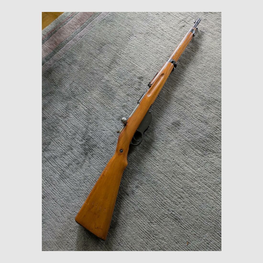 Steyr Mannlicher M95