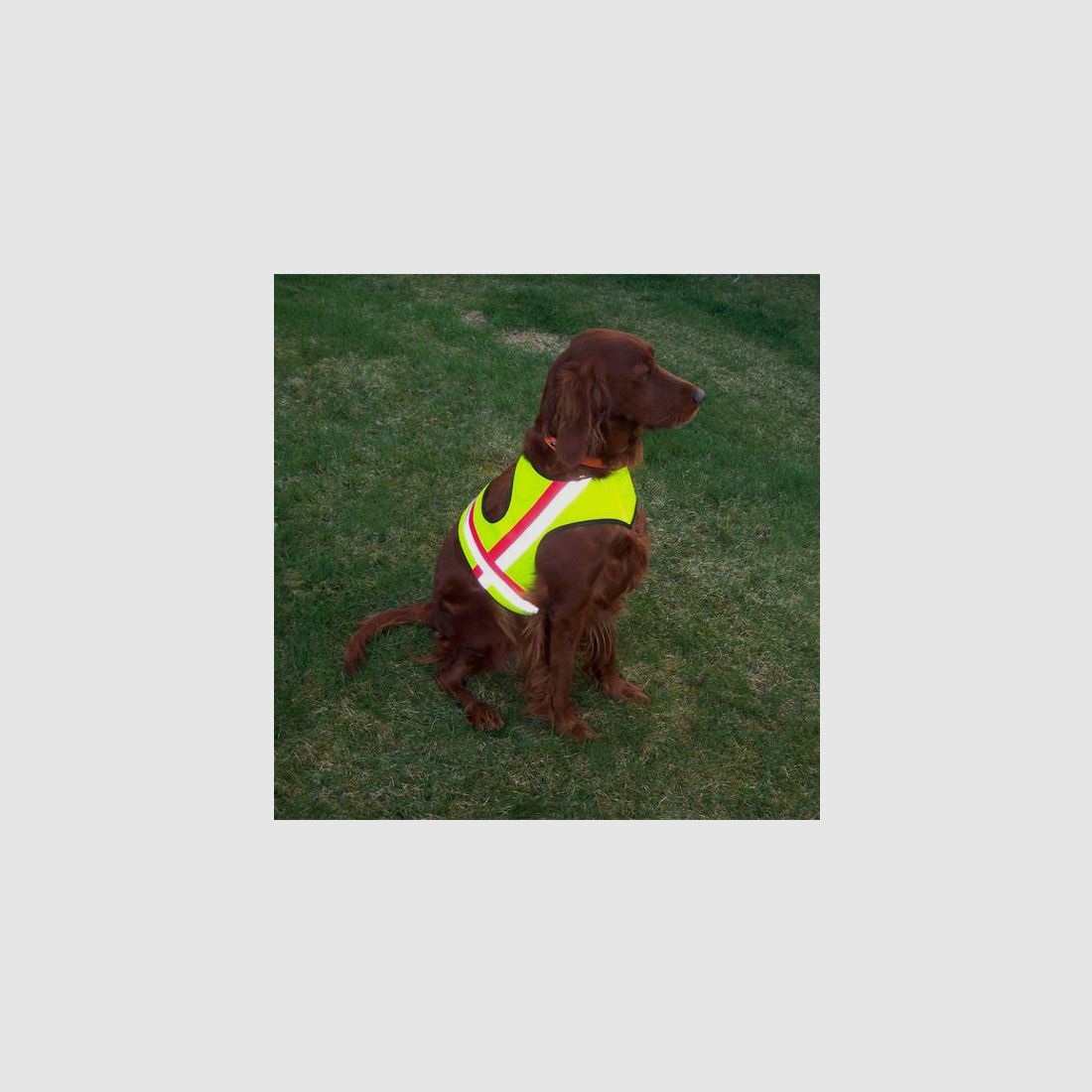 ZanTex Hundewarnweste mit 2-fachem Klettverschluß 2