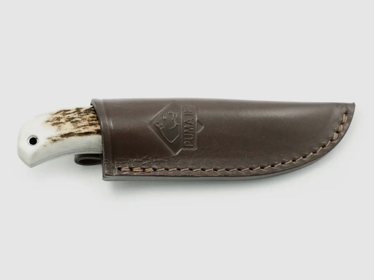 PUMA IP ela stag