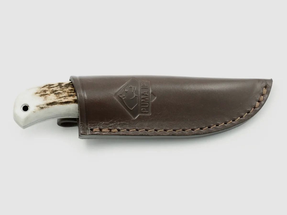PUMA IP ela stag