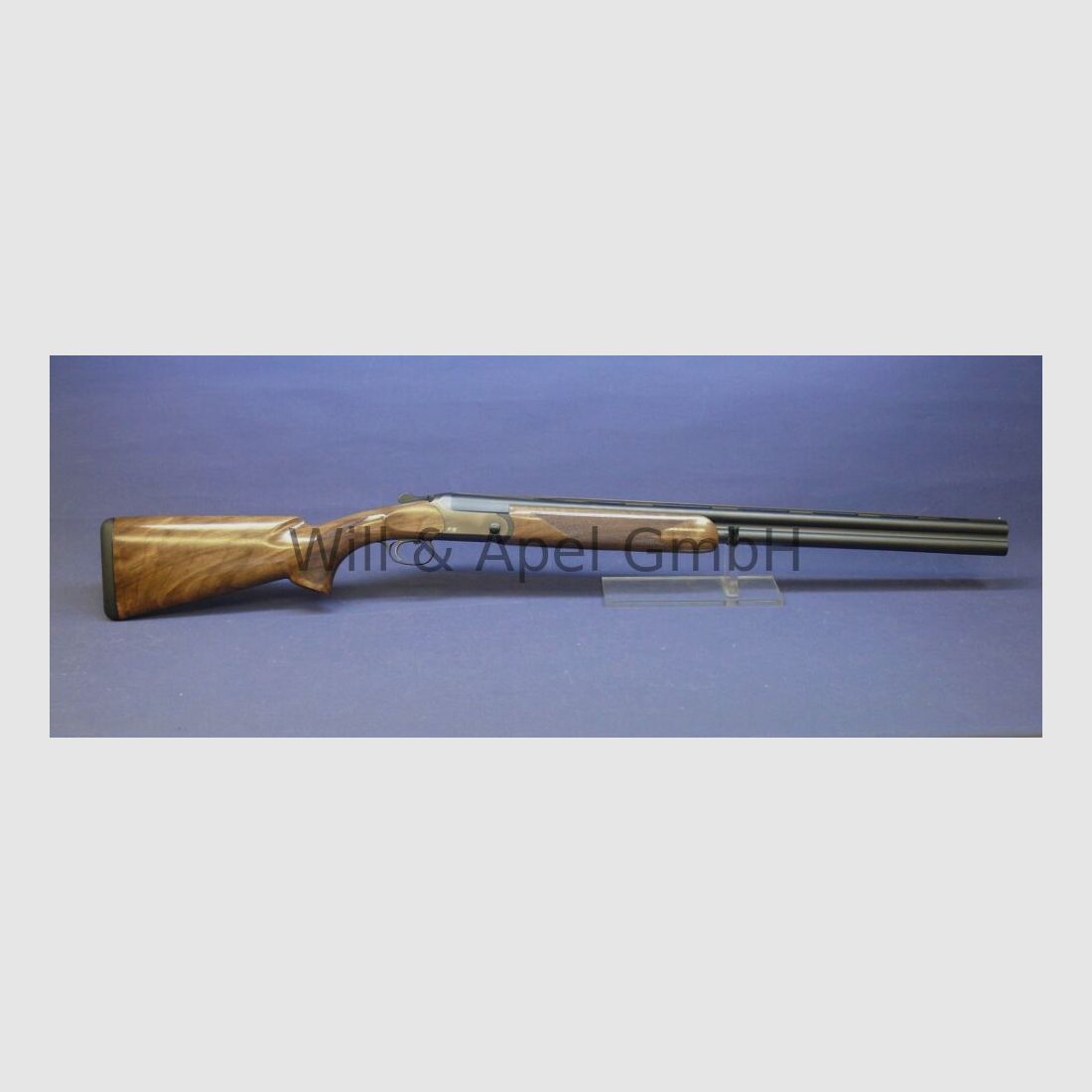 Blaser F16 BDF Game