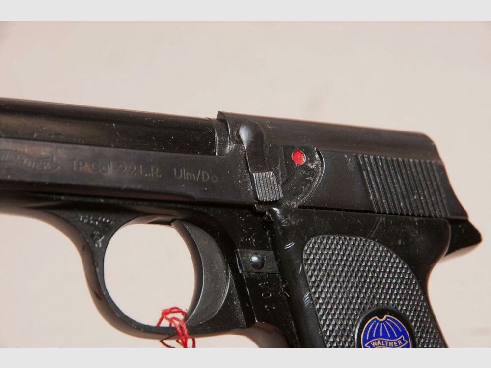 Walther TP caza de depredadores, caza de construcción, caza con trampas