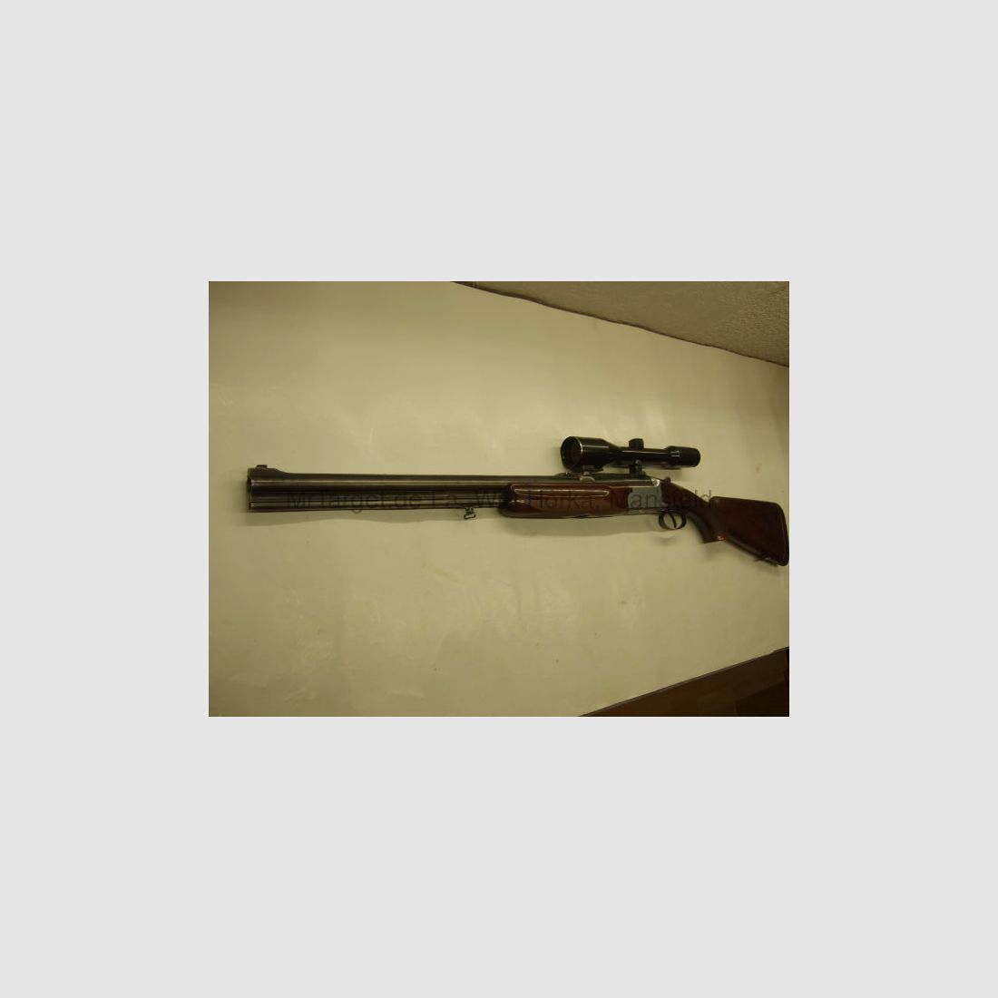 Sabattii mit ZF SWAROVSKI 6x42 Absehen 1