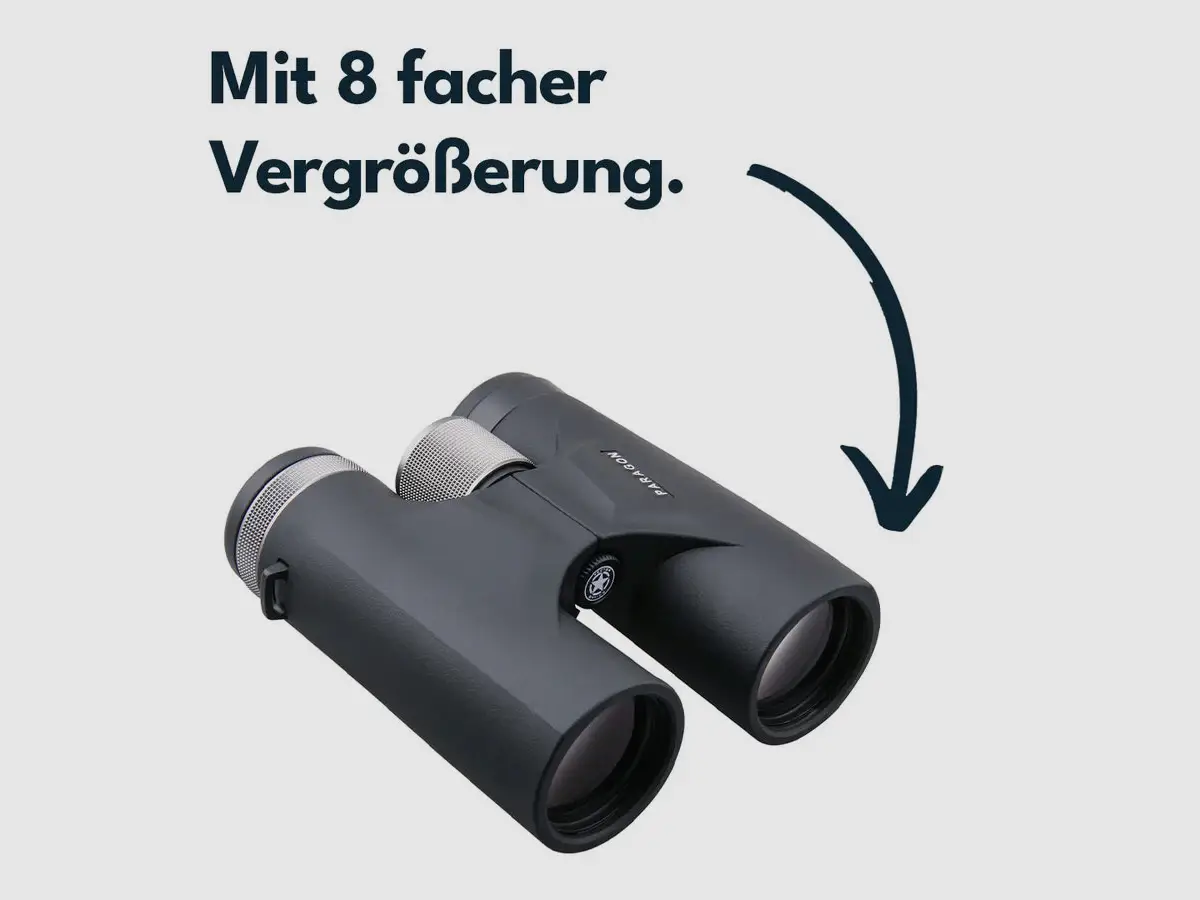 Vector Optics SCBO-03 Paragon 8x42, image 2 sur 6