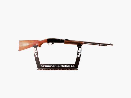 remington 572 22lr