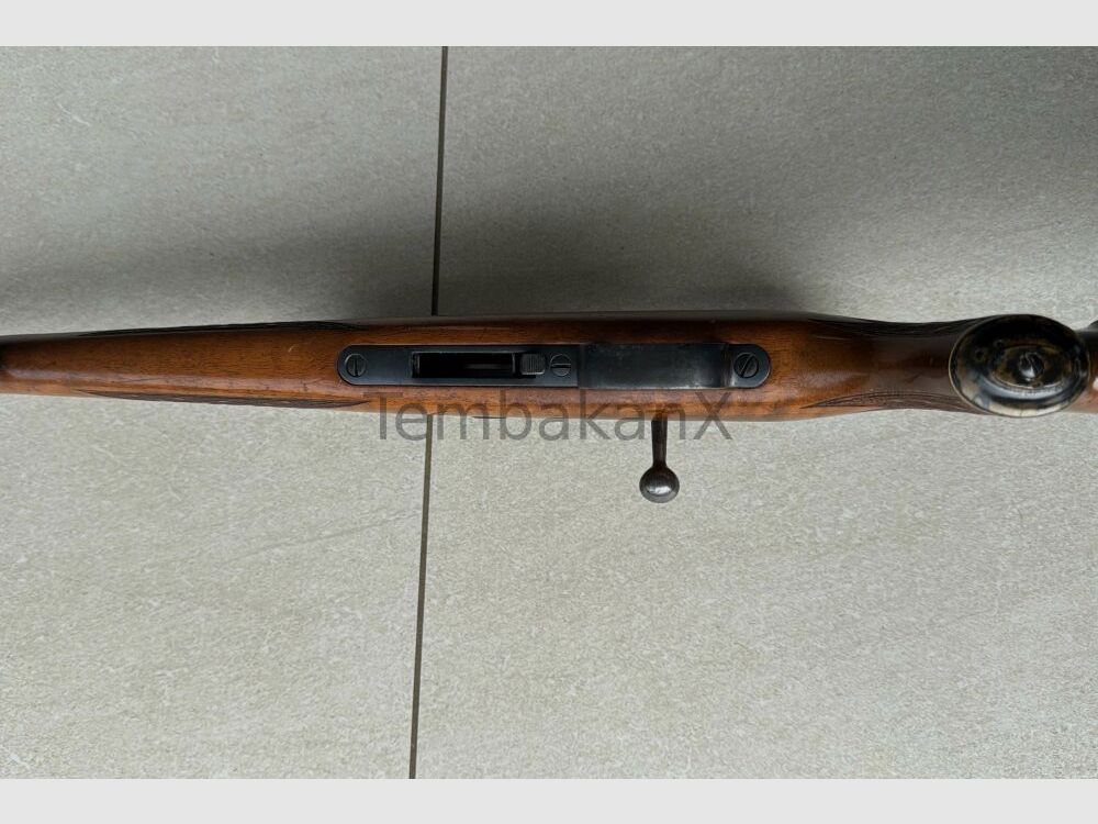 Anschütz Model 1516 .22WinMag