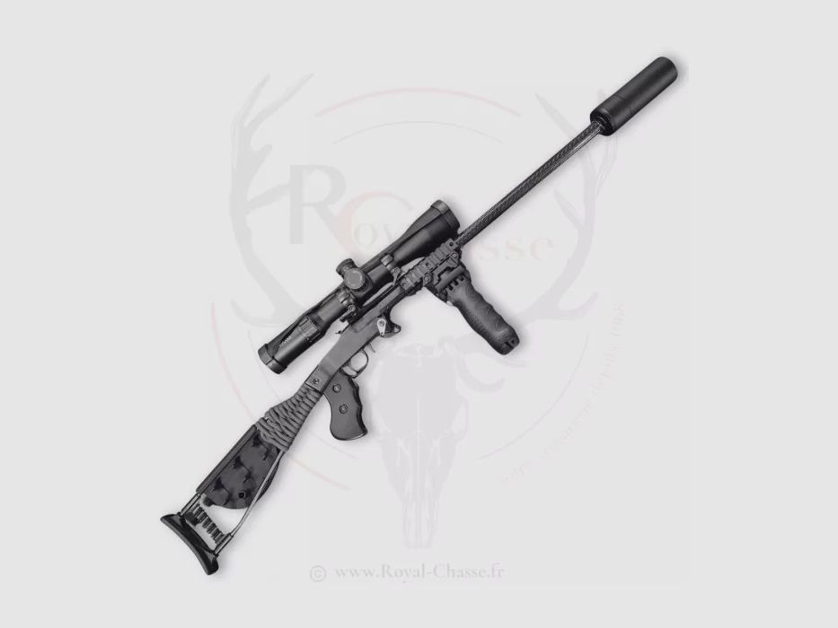 Occasion - Carabine Kiplauf LITTLE BADGER Cal.17 HMR CHIAPPA, image 1 sur 9